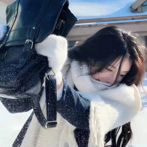 高速公路家族